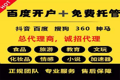某电商平台的SEM关键词策略及成效分析